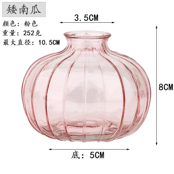 Decorative Flower Bottle Nordic Glass Vase Transparent Bud Vase Designed Hydroponic Plant Pot Living Room Decor Table Ornaments