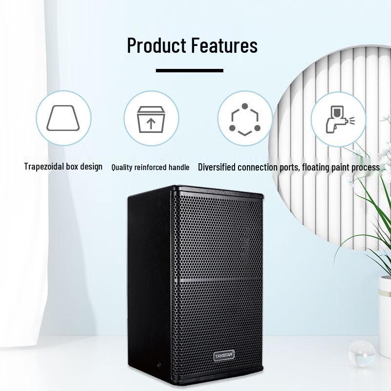 TAKSTAR EKS-101 Professional Full-Range Speaker System
