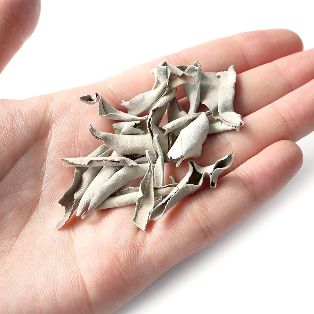 [GOLDSTEIN] Pestizidfreier Weißer Salbei aus Kalifornien, ca. 50g (Keine Zweige, Zerquetscht)