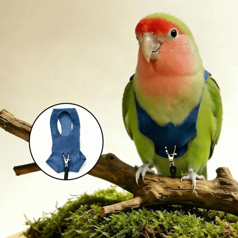 Cowboy Style Parrot Flying Harness Safety Bird Flight Suits Creative Parrot Outdoor Leashes Travel
