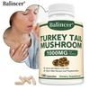 Balincer Turkey Tail Mushroom Supplement, 1000mg, Beta Glucans & Polysaccharides, 120 Caps
