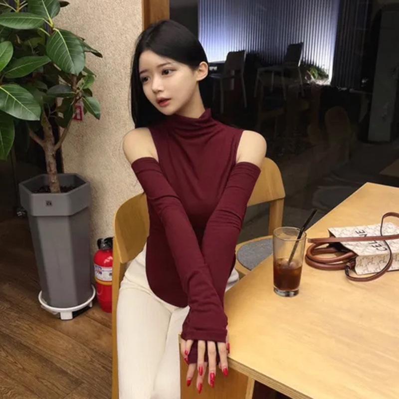 Korean High Neck Off-the-Shoulder Sheer Slimming Long Sleeve Curved Hem Women's Top