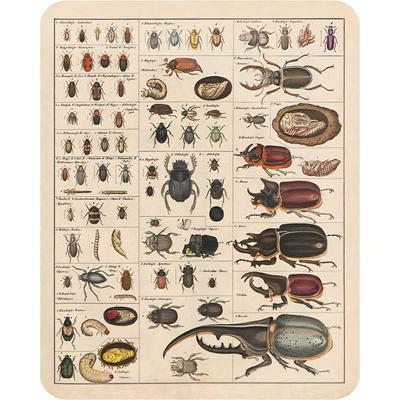 Vintage Insect Collection Poster - Great for Classroom Wall Decor - 12x8 Metal Sign