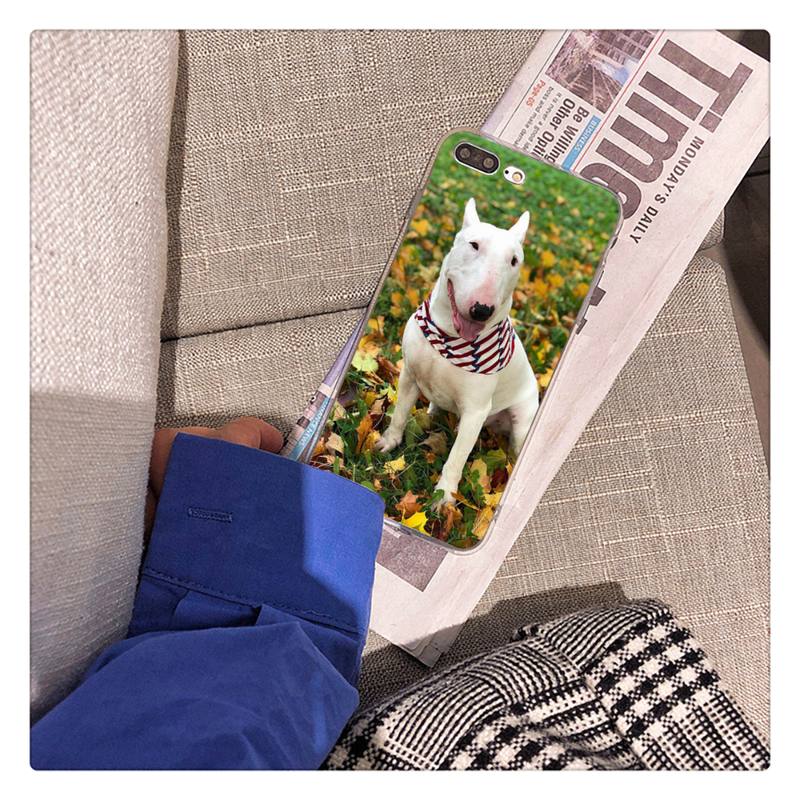 Bullterrier Bull Terrier Dog Phone Case For iPhone 13 X XS MAX 6 6s 7 7plus 8 8Plus 5 5S Se 2020 XR 12 11 Pro Max Fundas Capa