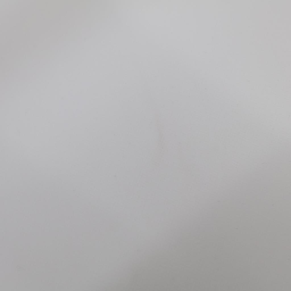 FOXEY NEW YORK White Pleated Paxton Skirt 42627 Skirt 38 whiteUsed