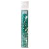 Mr. Paper Acrylic Ruler - Starry River Series: Ancient Art Style Student Stationery.