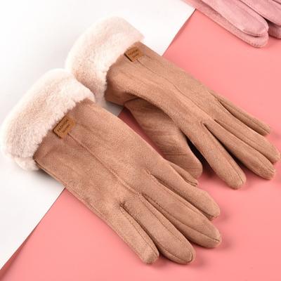 Female Touch Screen Gloves Cute Winter Warm Velvet Thickened Motorcycle Riding Student Cycling Suede Gloves Tide