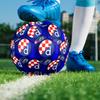 1 Stück Dinamo Indoor Fußball Bunt Alle Altersgruppen Maschinengenäht PVC Wettkampfbereit Langlebig Hoher Rückprall HE3