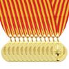 PATIKIL 5cm Gold Award Medals, Pack of 12, Olympic Style Winner Award Medals with Neck Ribbon for Games and Sports Competitions