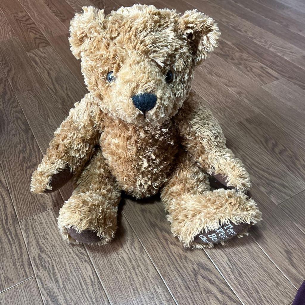 [USED] Teddy bear stuffed animal
