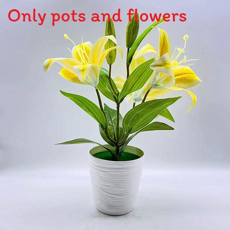 Brownii Lilium Var Viridulum Baker Potted Plant For Living Decor Room