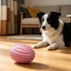 Yousheng Dog Teething Toys with Spike Teeth Cleaning Ball Toy Bite-Resistant Rugby Ball with Interactive Sound for Small Medium Large Dogs Dental