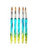 5 Nail Pen Set, Onion Powder Rod Crystal Pen, Nail Brush, Painted Pen, Nail Pen Green, Nail Arrangement Pen Set