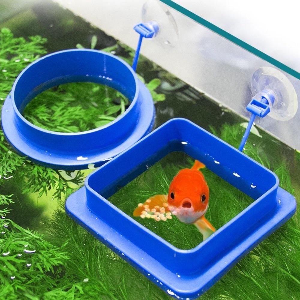 2pcs Buoyancy Design Fish Tank Feeder Suction Cup Floating Food Tray  Feeding Accessory
