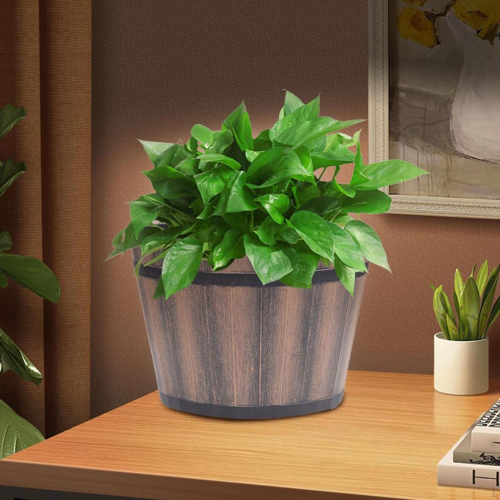 Container for Plants with Drainage, Versatile Planter Kitchen and Living Room