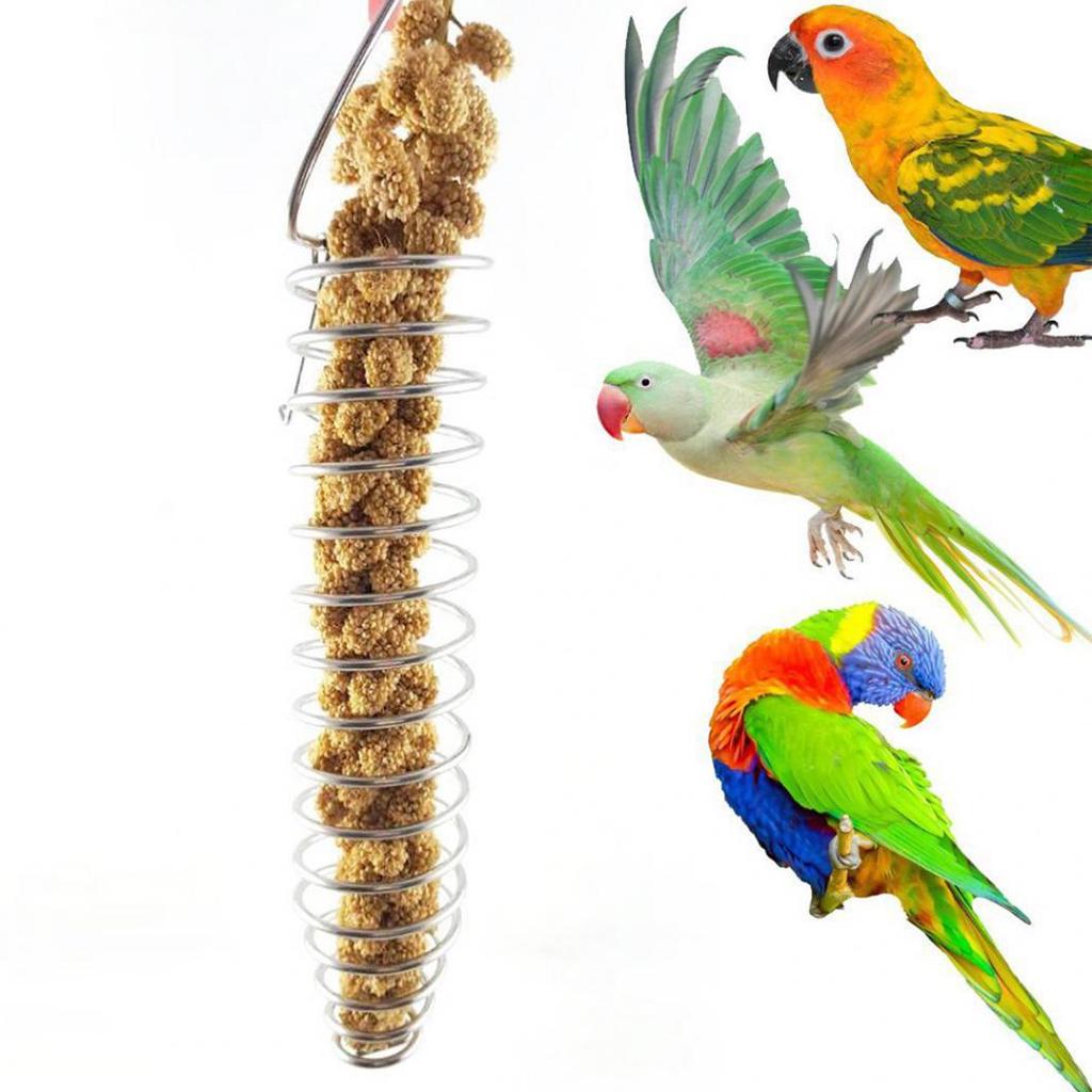 Sheens Alimentador de Aves de Loro de Acero Inoxidable Pincho Alimentador de Juguete Tenedor de palitos de Carne Vegetal Pinz/ón Canario Columpio Juguetes Jaula Forraje Juguete Herramienta S