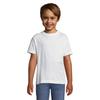Childrens/Kids Regent T-Shirt