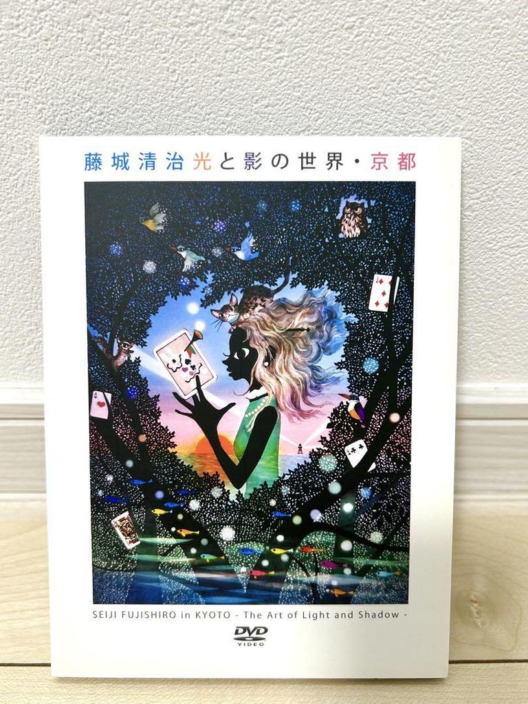 [USED] Rare Shadow Painting by Seiji Fujishiro: Dwarfs - The World of Light and Shadow, Kyoto - DVD Digital Art Collection
