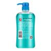 Feng Hua Kräuter Anti-Schuppen Shampoo 820ml