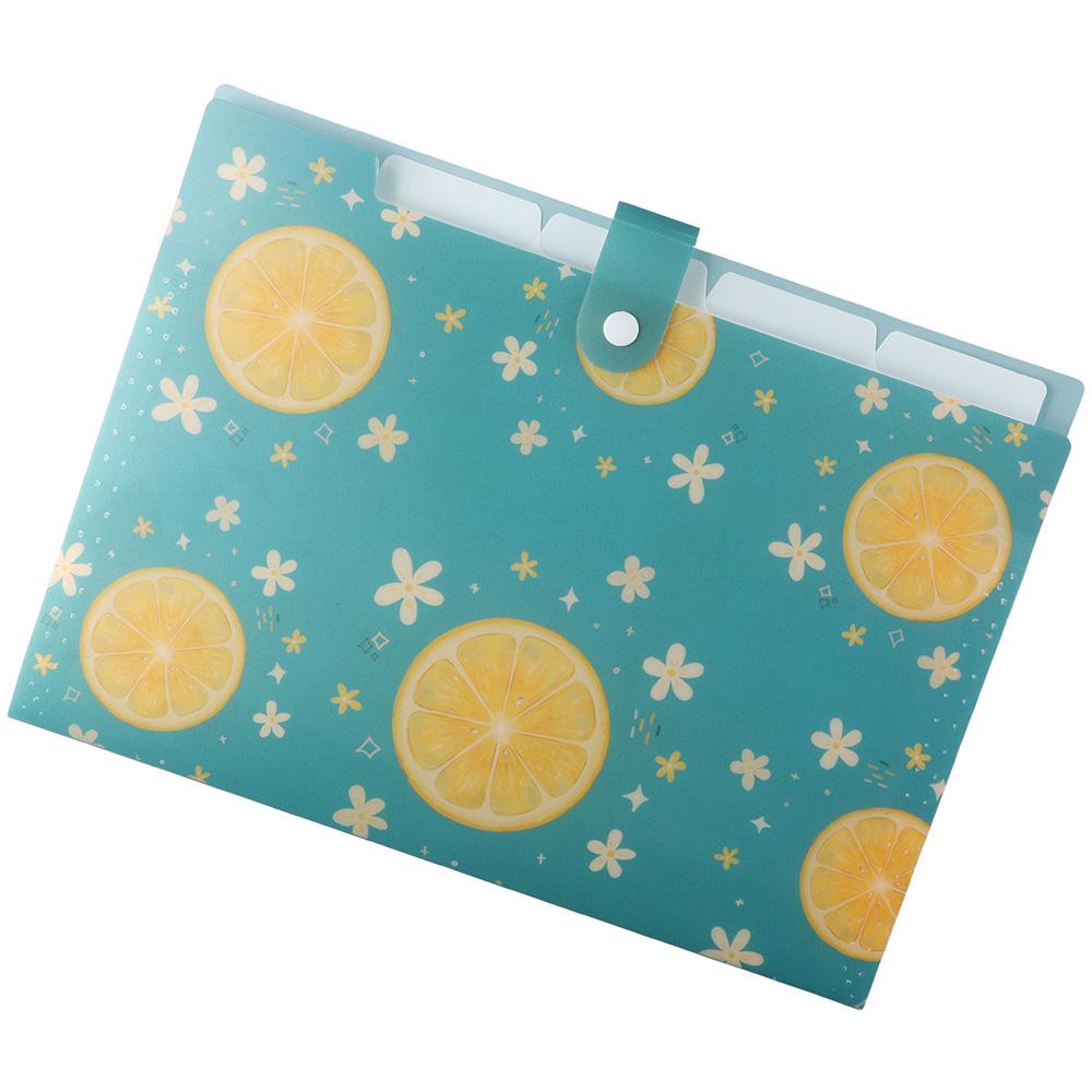 

Небольшая сумка для свежих файлов с 5 карманами, расширяющаяся папка, простота в офисе