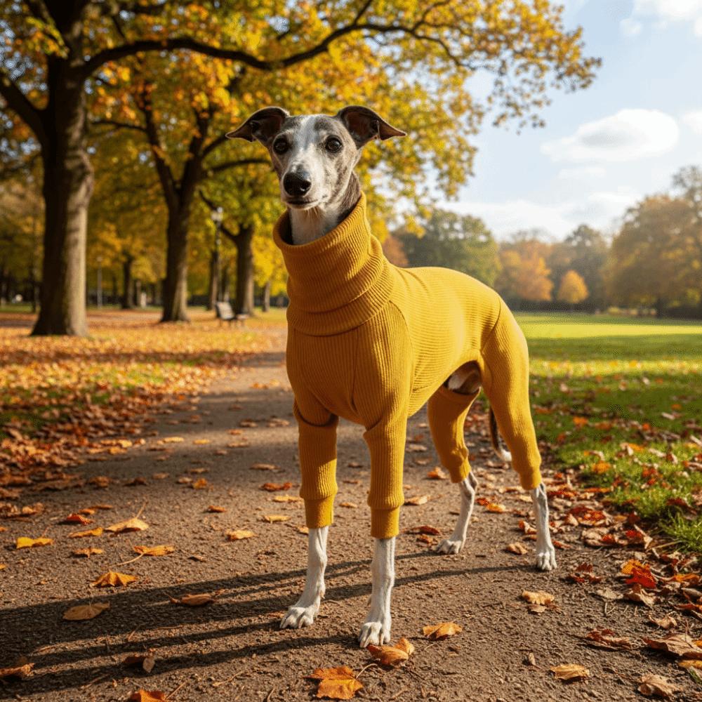 Elastic Pet Turtleneck Clothes Warm Dog Four Legged Clothes Pet Sweater Pet Pajamas  Outdoor