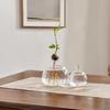 Hydroponic Plants Glass Vase Transparent Propagation Terrarium
