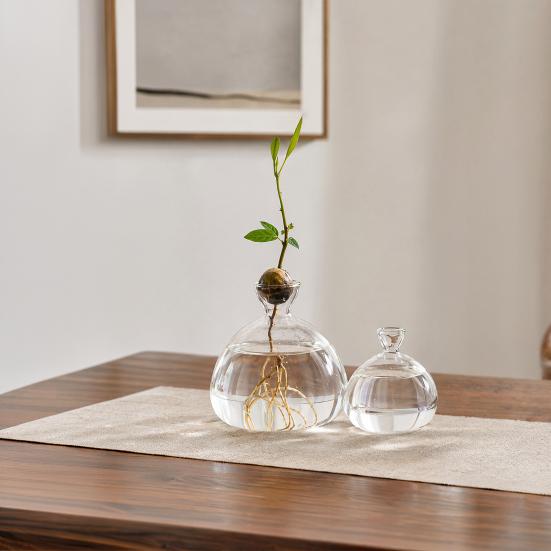Hydroponic Plants Glass Vase Transparent Propagation Terrarium