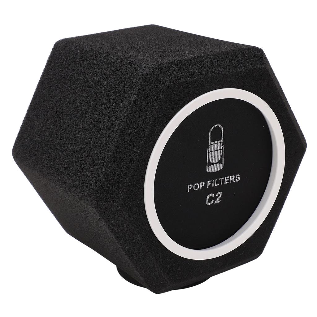 C2 Microphone Sponge Cover High Density Microphone Windscreen Professional Microphone Recording Isolation Booth