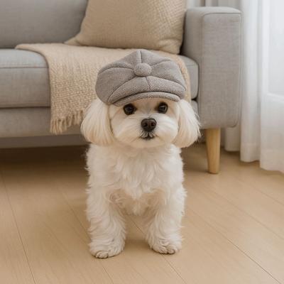 Dog Decoration Hat Retro Pet Beret Hat Universal Adjustable Cat Gentleman's Hat Three-dimensional Pet Dress Up Cap Four Seasons