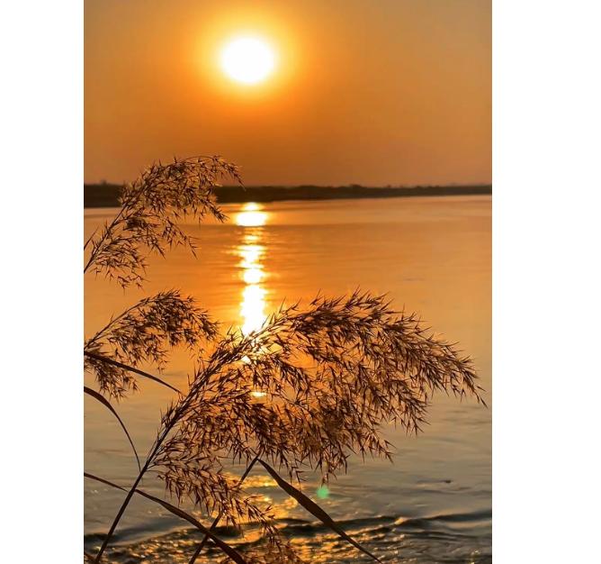 For Nintendo Switch 2 Handgrip Sense Joystick Shooting Gun Controller Gamepad Joypad Disc Card Storage Holder Gaming Accessories