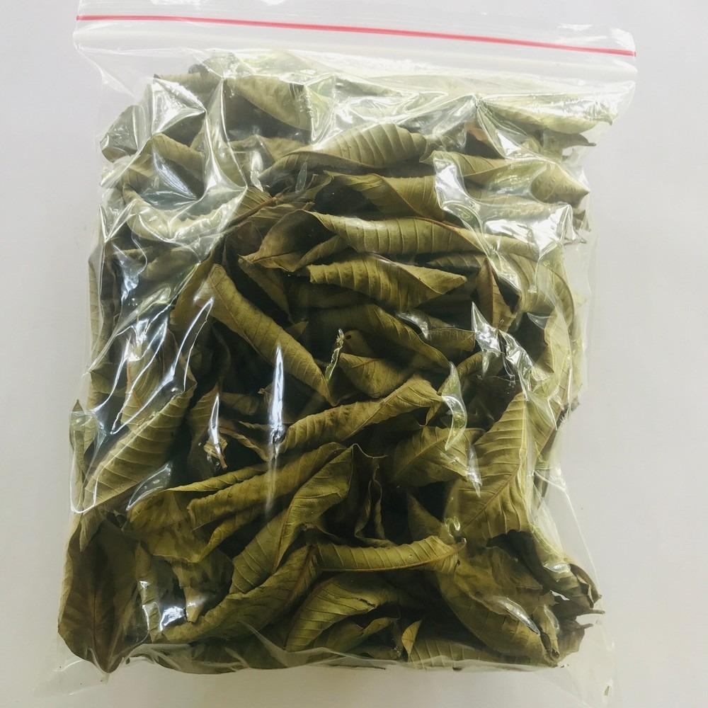Φύλλα Γκουάβας 500g Τσάι Βοτάνων, Φυσικό Ρόφημα Αποτοξίνωσης για Υποστήριξη Ενέργειας και Ευεξίας