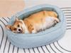 Sponge Washable Pet Nest for Small & Medium Dogs and Cats - Hot Selling