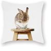 Decorative Pillowcase Cute Gray Rabbit on White Background Decorative Pillow Cover Bedroom Sofa Square