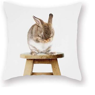 Decorative Pillowcase Cute Gray Rabbit on White Background Decorative Pillow Cover Bedroom Sofa Square