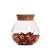 High Borosilicate Glass Airtight Jar with Cork Stopper for Moss or Terrariums