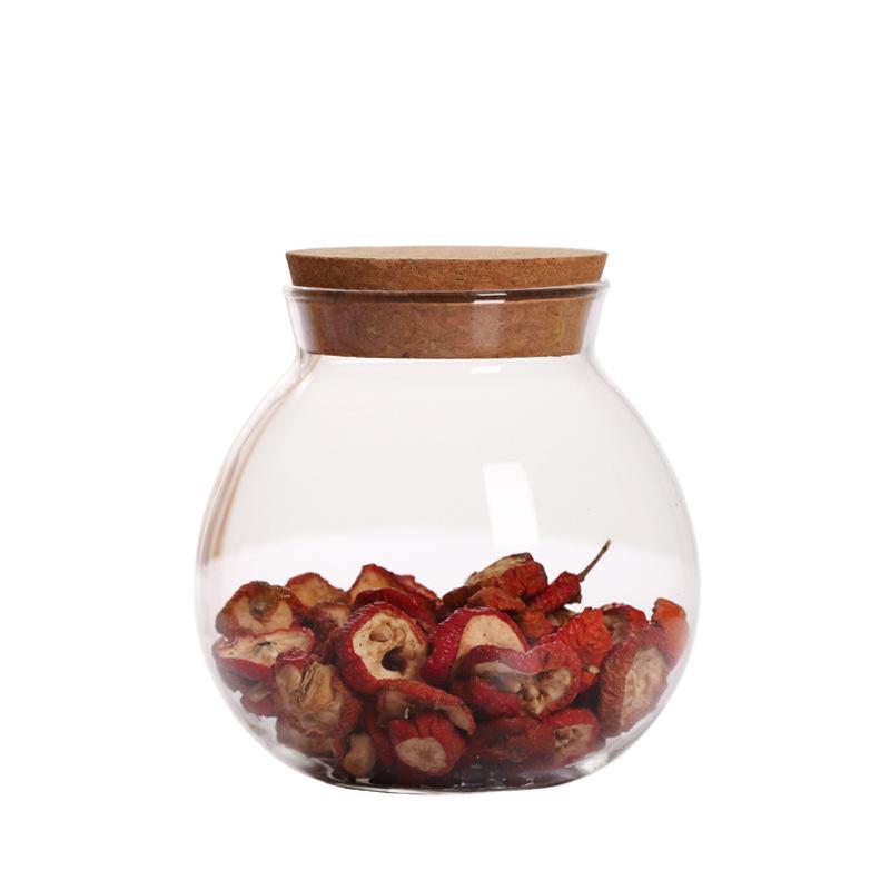 High Borosilicate Glass Airtight Jar with Cork Stopper for Moss or Terrariums