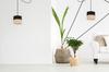 Ceiling Hanging Lamp, Lampshade 20 Cm, Black Spider