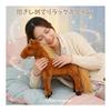 Miaomyao Plush Toy Horse, Fluffy Stuffed Animal, Comforting Gift for Kids and Adults, Dark Brown, 30cm