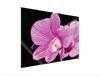 SZKLANA PŁYTA OCHRONNA NA KUCHENKĘ 70x52 ORCHIDEA