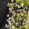 Nordic Hydrangea Bouquet: Artificial Flower Arrangement for Home, Hotel, or Wedding Décor