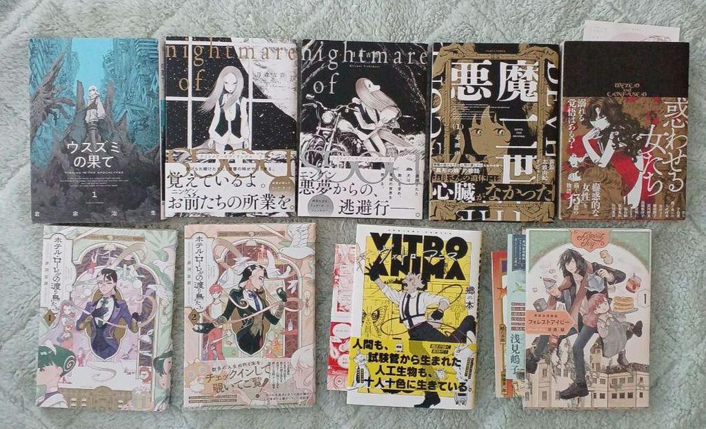 [USED] Haruta Comics Blue Knight Comics and 35 other books bundled together