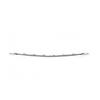 Front Bumper Lower Decorative Bright Strip for Mercedes-Benz B-Class B200 W246