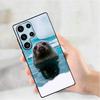 Animal Seal Phone Silicone Case for Samsung Galaxy S 24,22,20,23,21,20 Ultra Plus Lite 5G Print Silicone  Cover