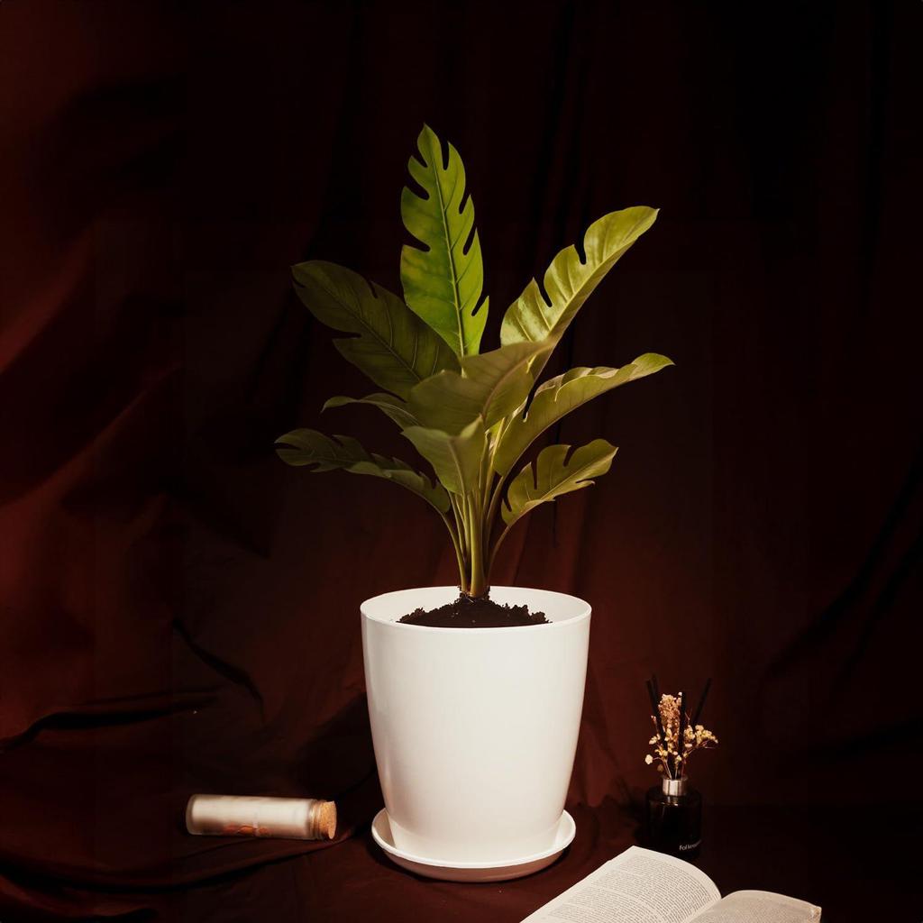 Blossom 12 Inch Solid White Flower Pot| Lightweight & Durable for Indoor/Outdoor | for Big Size Plants/Flower | Flower Pot for Living Room