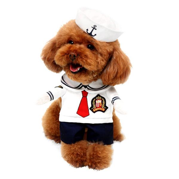dog sailor hat