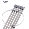 LINKSHIRE 201 Stainless Steel Ball-Lock Cable Ties, 100 Pack