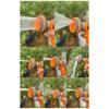 Hose Water Sprayer Adjustable Car Washer 8 Sprayer Pattern Sprayer Portable High Pressure Sprinkler Nozzle Garden Water