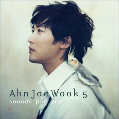 Ahn Jae Wook 5th Album - Sounds Like You