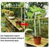 Plant Stem Support Reusable Plants Support Clips Garden Plants Accessories Flower Branches Stem Organizer Stand Fixing Clamp