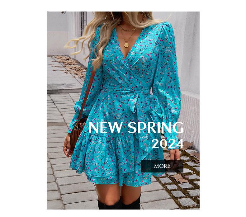 Diyun 2024 Autumn/Winter Elegant V-Neck Printed Women's A-Line Dress